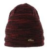 Screamer 2021 Storm Beanie
