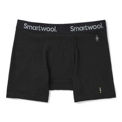 Smartwool Corporation 2020 Men's Merino Sport 150 Boxer Brief