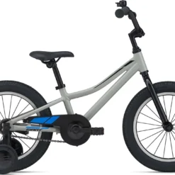 Giant Animator C/B 16 2021