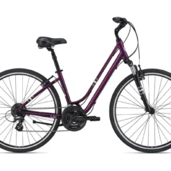 LIV Flourish FS 1 2021 Bike