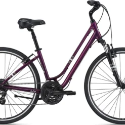 LIV Flourish FS 1 2021 Bike -rei shop FS12021 4119