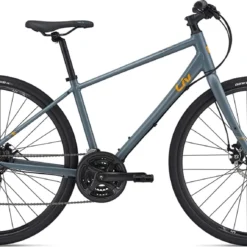 Liv Alight 3 DD Disc 2021