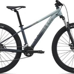 LIV Tempt 4 Women's Bike - 2022 -rei shop LIVT4 4082