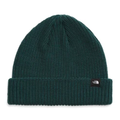 The North Face 2023 TNF Fisherman Beanie -rei shop NF0A55JG E80 hero 53431.1657727721