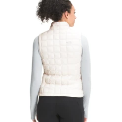 The North Face 2024 Women's Thermoball Eco Vest 2.0 -rei shop NF0A5GLF N3N back1 83524.1661872603