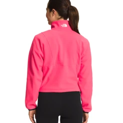 The North Face 2023 Women's TKA Attitude ¼ Zip Fleece -rei shop NF0A5J6H 397 back 32556.1657725184