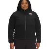 The North Face 2023 Women's Plus Denali Jacket