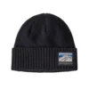 Patagonia 2023 Brodeo Beanie