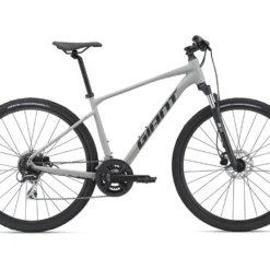 Giant Roam 3 Disc Bike - 2022