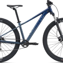 LIV Tempt 2 Bike - 2022 -rei shop T221 4114