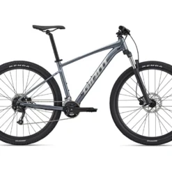 Giant Talon 2 29 Bike - 2022