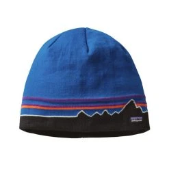 Patagonia 2023 Beanie Hat
