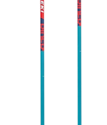 2023 Rider Youth Ski Pole -rei shop h697115233 Red 51687 21701.1659960970