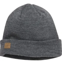 Coal Headwear 2022 The Harbor Beanie