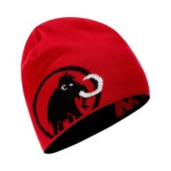 2021 Mammut Logo Beanie -rei shop q022mammut 73268 14505.1623194458
