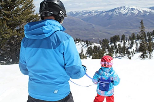 Sports Accessories Americ 2024 Ski Harness 4 Sports Accessories Americ 2024 Ski Harness - Image 4