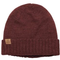 Coal Headwear 2022 The Rogers Beanie