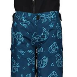 Sport Obermeyer Limited 2020 Boy's Warp Pant -rei shop s772tmph7byq464 45062 28969.1657887434